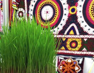 106060021019181128127538250446359807229136n