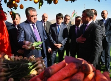 127791369823933451641857968330576898578343o