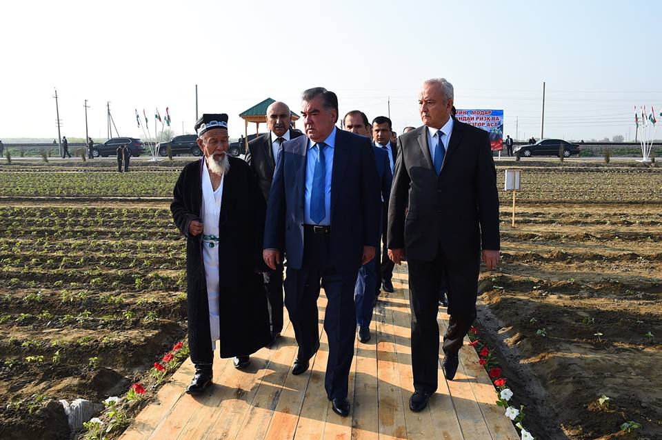 193466610045702529464948144133618866469175n