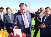 43fd25e2-caa6-4da3-8264-aec4f0d22402w640r1s_0