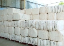 cotton_4