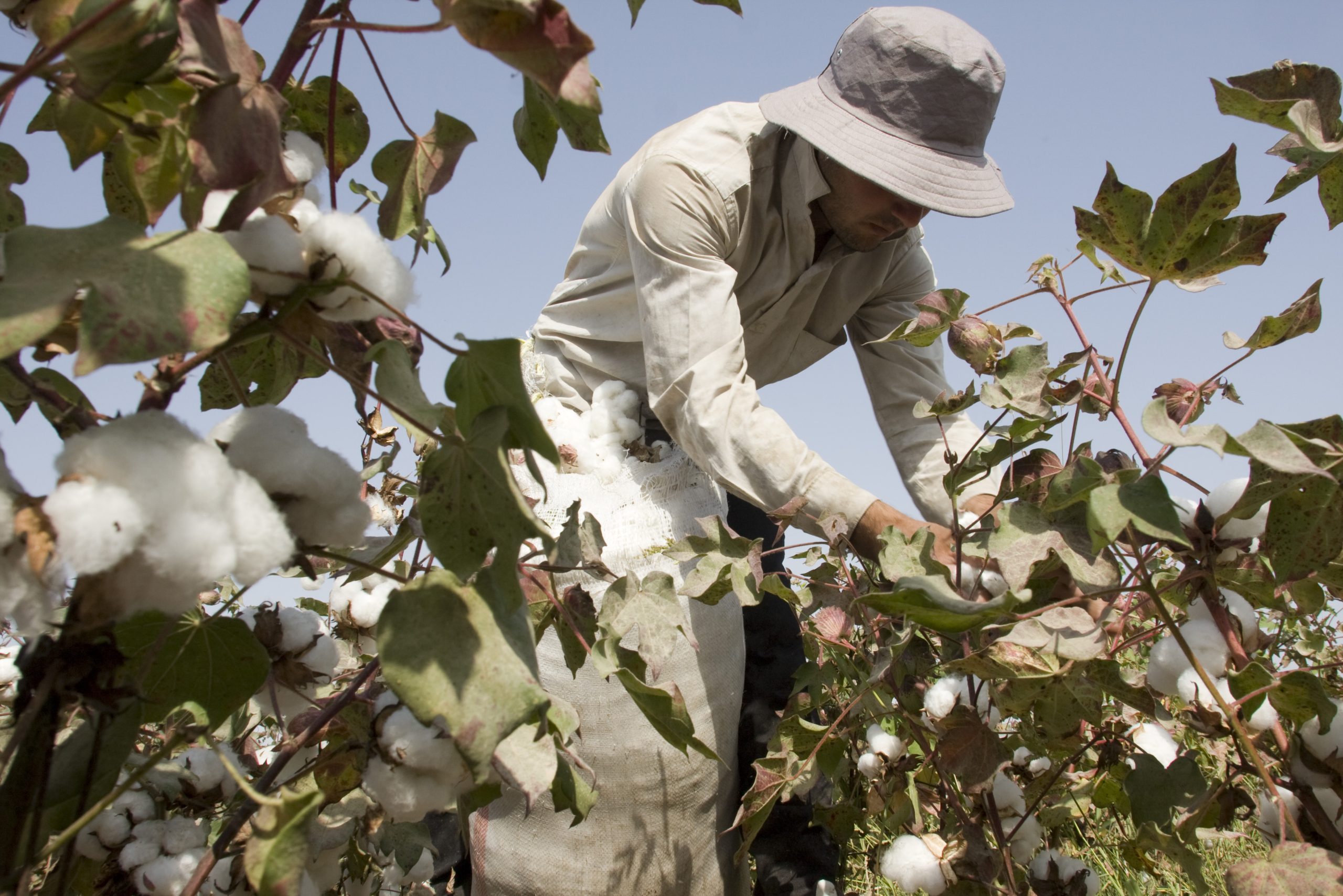 naoblozhkusudpohlopku