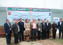 undp_0