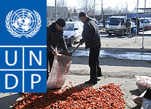 undpmikrofinansirovanie