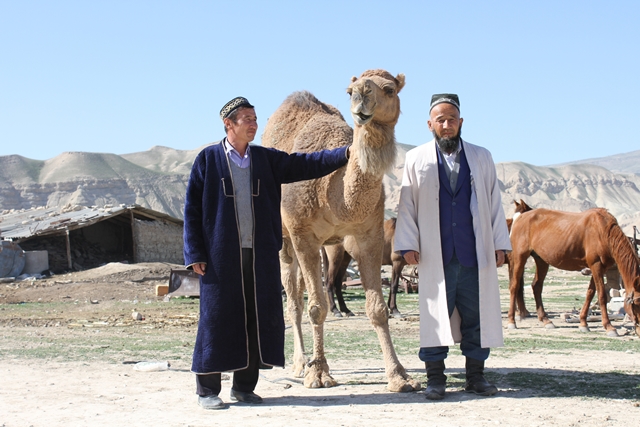 vesokuleteperostalsyavsegoodinverblyud