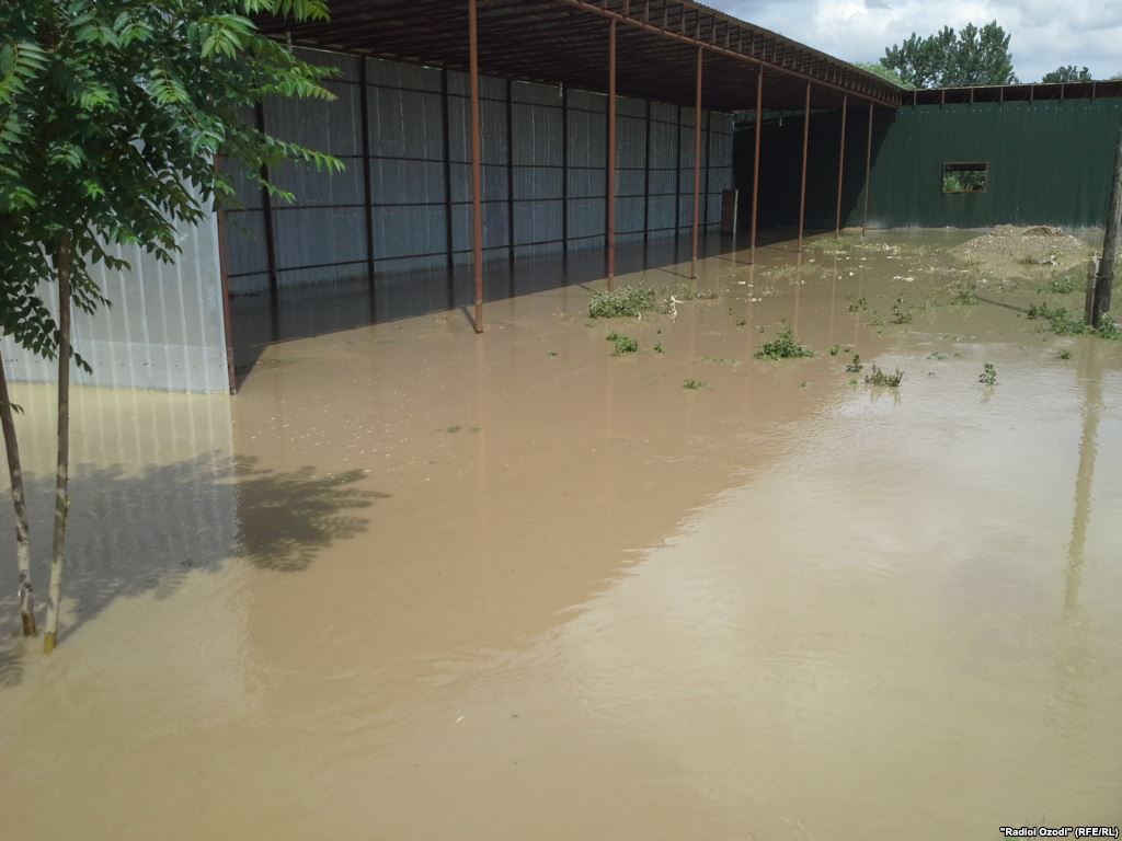 6b603607-4074-4838-8e16-ea742be0e38dmw1024sn