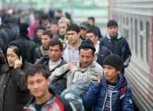 migration_0