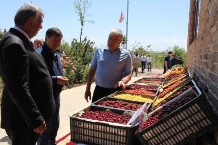 sadamigissarskiyrayon