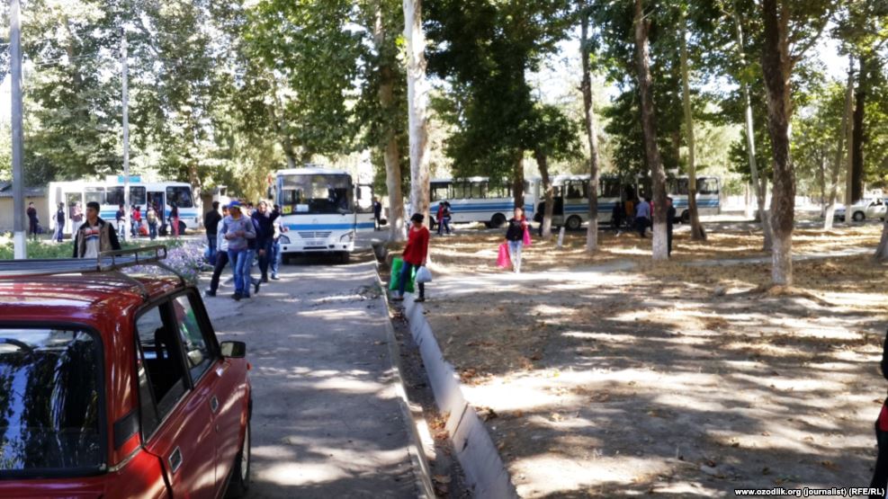 8293C950-9085-4587-A296-03A40EEEB399_cx0_cy11_cw0_w987_r1_s_r1