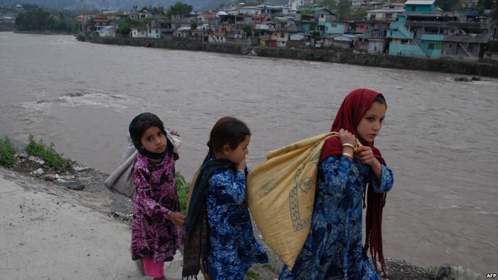 f6216cec-318f-4793-a783-65d82e65069fw987r1s