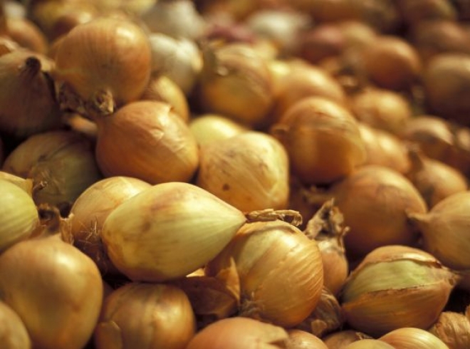 kyrgyzskietamozhennikipreseklivvozbolee11tonnkontrabandnyhproduktoviztadzhikistana