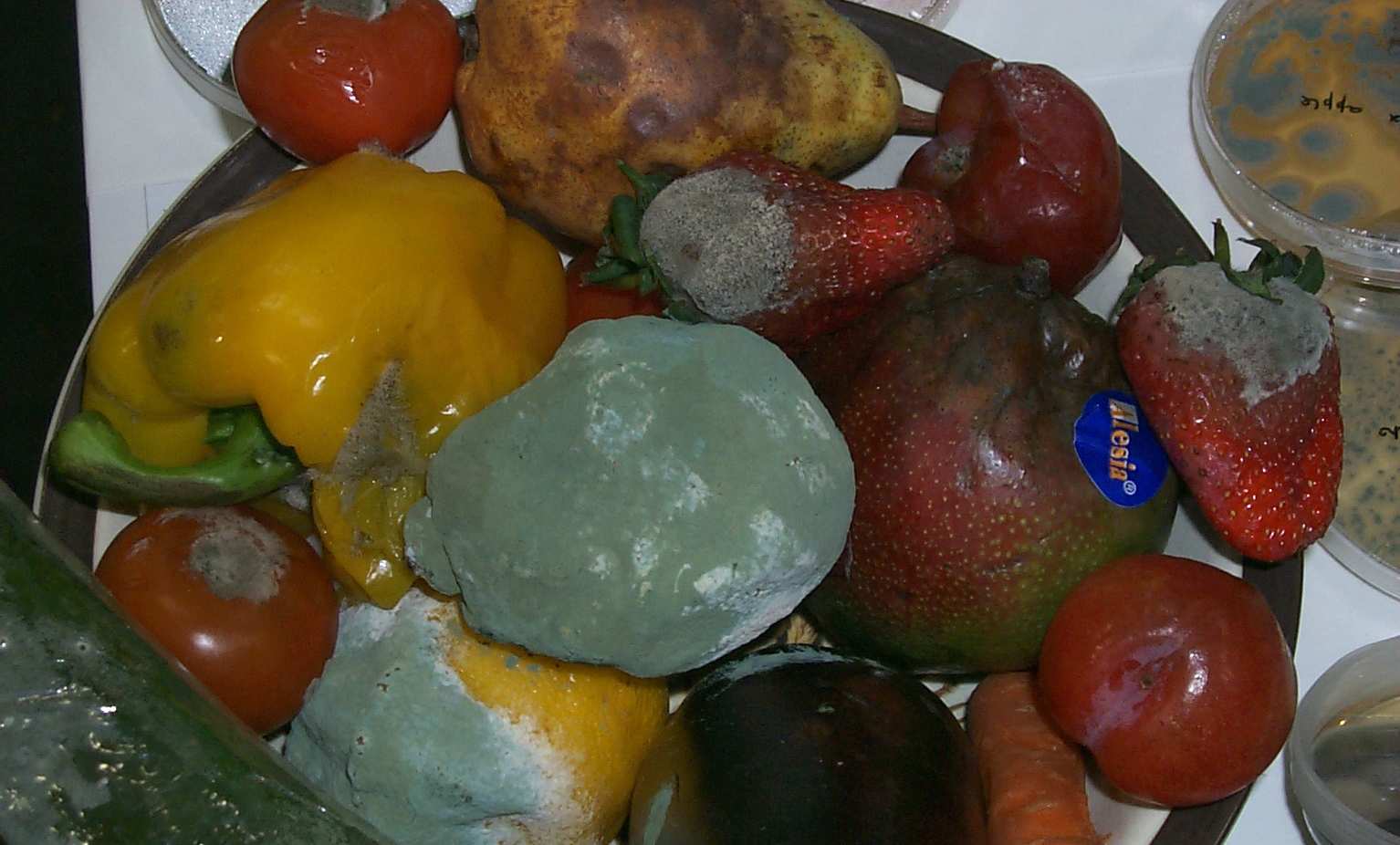 nayugetadzhikistanavyyasnyayutprichinyotravleniya6chelovekodinizkotoryhskonchalsya