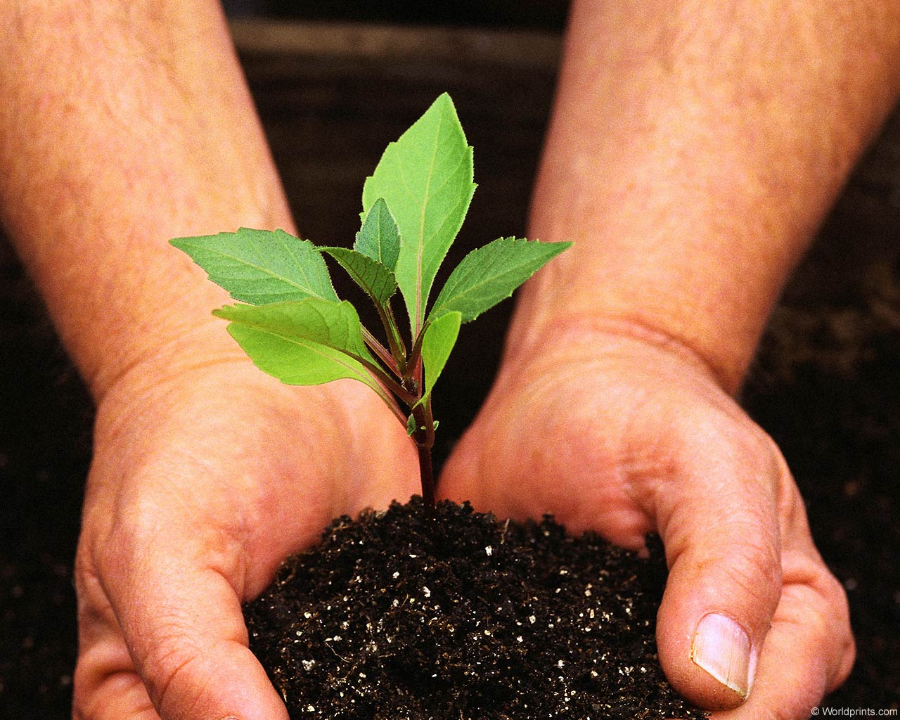 0008-003-ekologija-cheloveka1