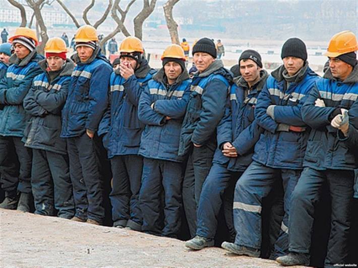 113554919886647778241161626494317n