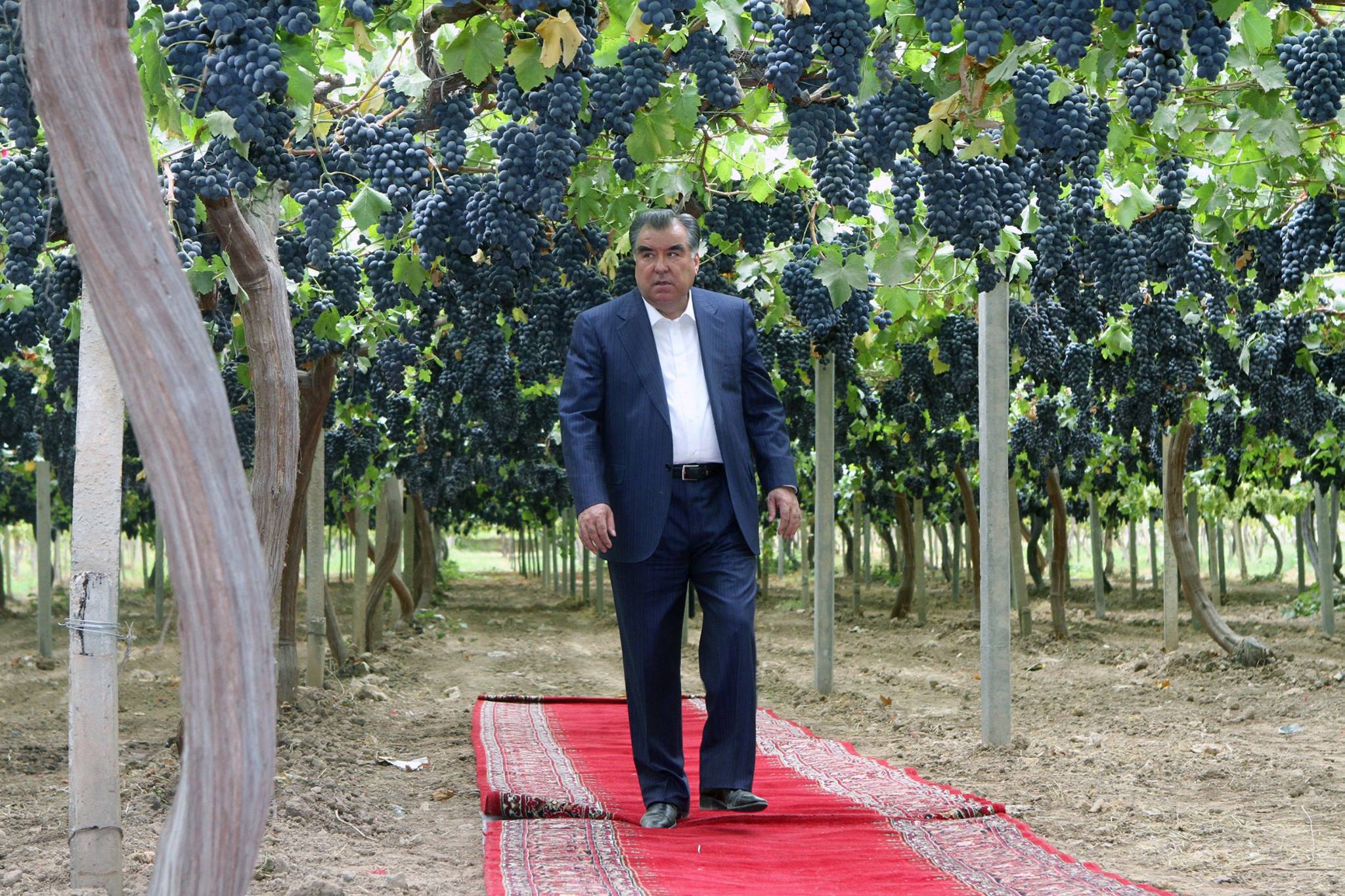 120342928992851401416736370134823585408406o2