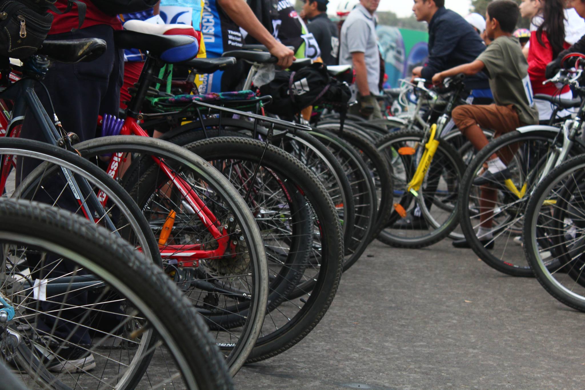 12087973101561897606052495543210466453877028o