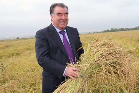 121082719135070820528127022641373819338648n