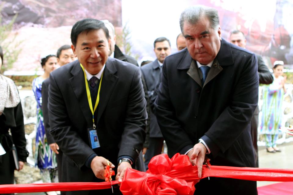 121226499128821721153031026717535445010716n