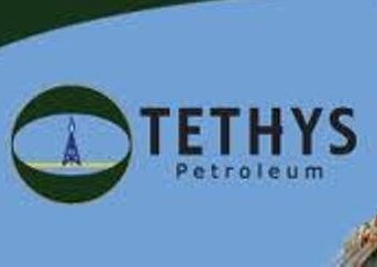 1328104949tethys-petroleum-v-2012-g-pristupit-k-grr-na-neft-na-severo-zapade-uzbekistana