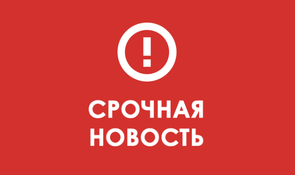 14265860151424345066brenewfl