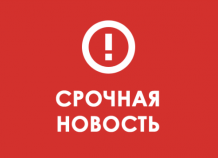 14265860151424345066brenewfl_0