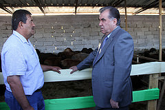 145151537513090d8e27cm