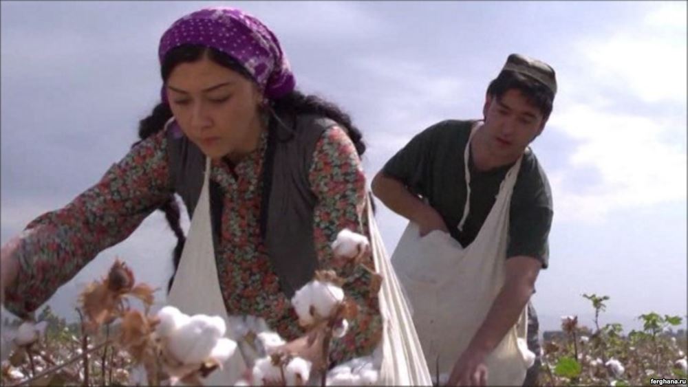 2259ca38-a783-4935-b06d-c4ca4226b593w1000r1s