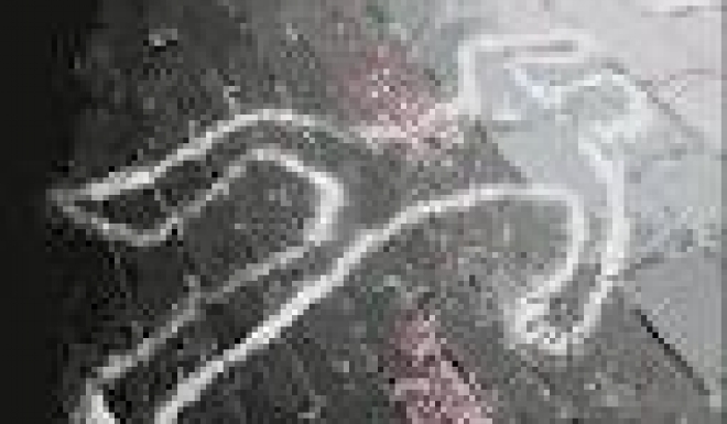 7ec8b4170d2e412c4f229da6d7504ad7