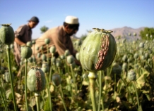 afganskiynarkorynok_0