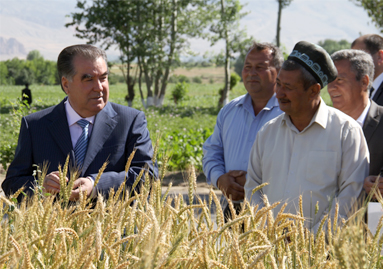 agrarnyysektorpendzhikenta