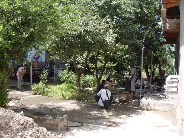 akciyanarkozavisimyharko