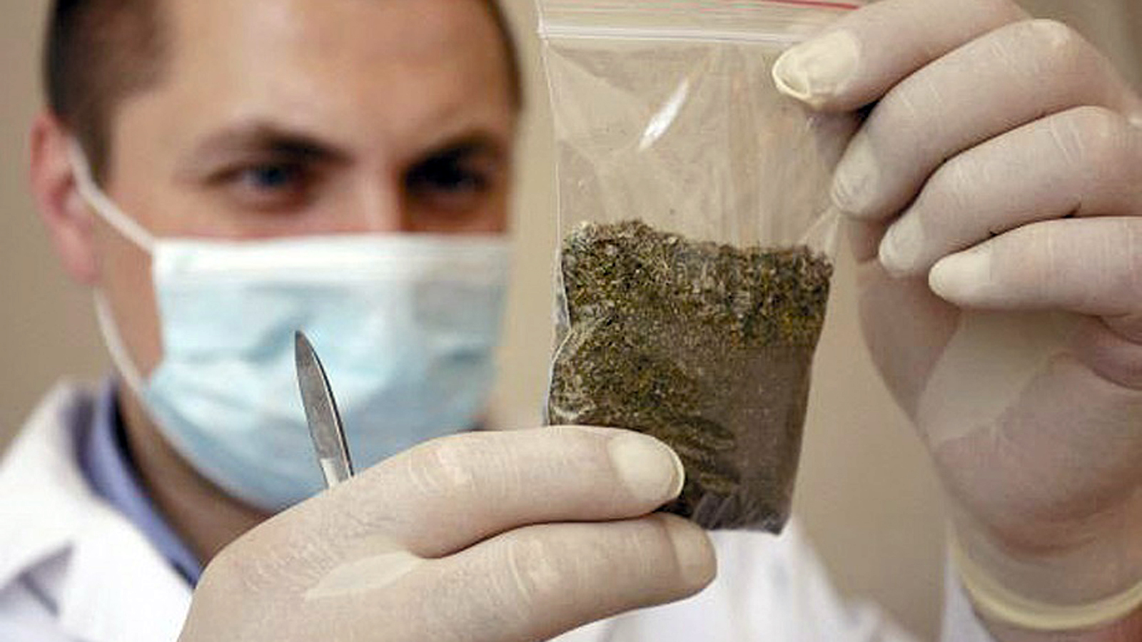 aknobnaruzhil10kgnarkoty