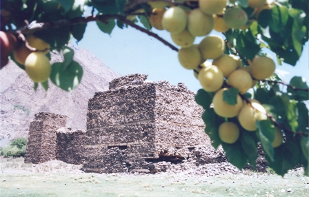 antichnyytahtisangin