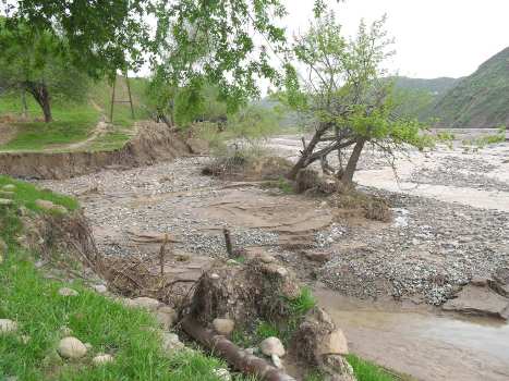 bezvodnyybaldzhuvan_0