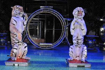 bolshoymoskovskiycirk