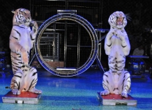 bolshoymoskovskiycirk_0