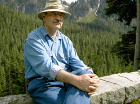 bozor_sobir_mnenie_ekspertov