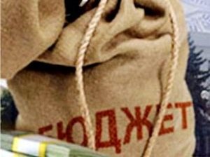 byudzhetnalogi_0