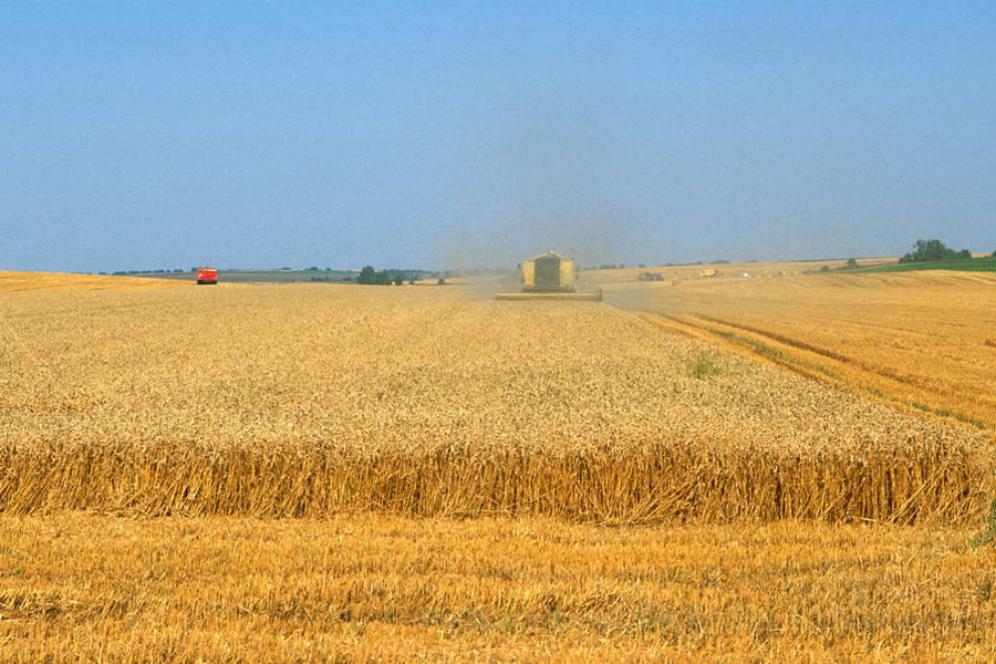 cenynaosnovnyeprodovolstvennyetovaryviyulenemnogosnizilis