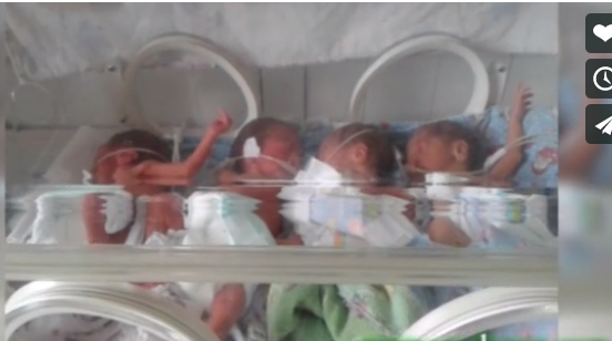 chetvernyunovorozhdennyhizpadzhakentarayona