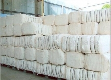cotton_3