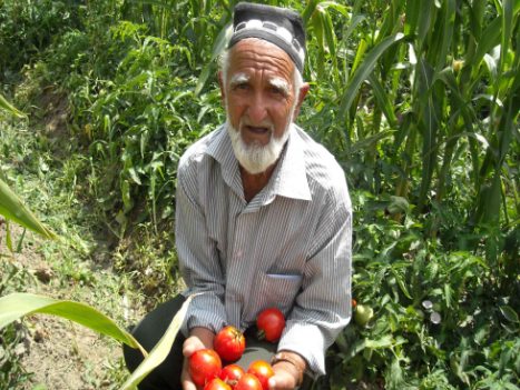 dehkaninso50-letnymstazhemdzhurahodzhazokirov