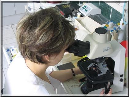 diagnostikazabolevaniii