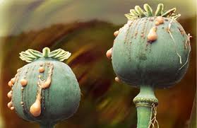 dokladoonafanistanopiymak