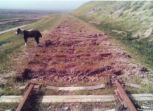 doroganayugtadzhikistana_1