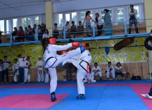 dsc5633novyyrazmer_0