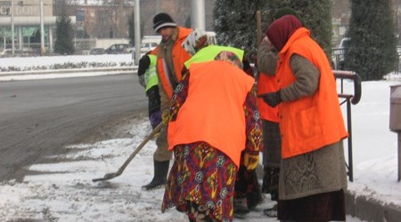 dvorniki-kopiya-450x250