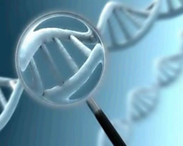 ee-20110201-dnagenestrand-600x480