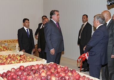 erahmonposetilodnogoizkupnyhfermerskihhozyaystvgisara