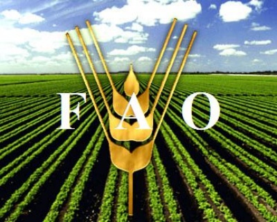 fao_3